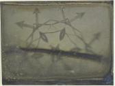 DRAPER Henry 1837-1882,Study of a Microscope Slide,1850,Christie's GB 2009-10-08