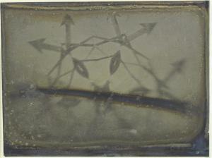 DRAPER Henry 1837-1882,Study of a Microscope Slide,1850,Christie's GB 2009-10-08
