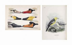 DRESSER HENRY EELES,A History of the Birds of Europe, including all th,Christie's 2017-06-15