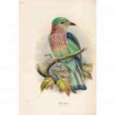 DRESSER HENRY EELES 1838-1915,HISTORY OF THE BIRDS OF EUROPE,Sotheby's GB 2006-05-09