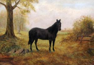 DRESSER M.M.L 1800-1900,Horse in Pasture,1909,Rowley Fine Art Auctioneers GB 2013-09-03