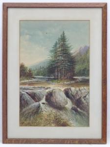 DRINKWATER MILTON Alfred 1862-1923,A highland river and rapids,Dickins GB 2019-09-16