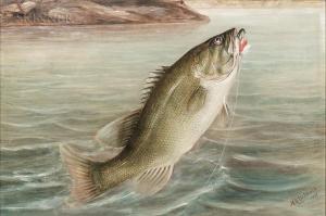 DRISCOLE Harry A. 1861-1923,Bass Grabbing a Fly,1899,Skinner US 2020-01-23