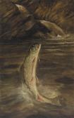 DRISCOLE Harry A. 1861-1923,Leaping Trout,Copley US 2018-02-16