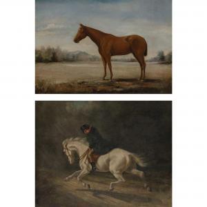 DRISCOLE Harry A. 1861-1923,Portrait of a Horse,19th Century,William Doyle US 2018-09-26