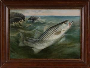 DRISCOLE Harry A. 1861-1923,Striped bass leaping from the water,Eldred's US 2023-07-27