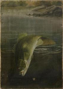 DRISCOLE M.A. or H.A 1800-1900,fish portrait,Pook & Pook US 2006-03-24