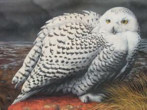 DRISCOLL Barry 1926-2006,a snowy owl,Cheffins GB 2021-08-12