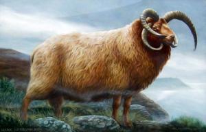 DRISCOLL Barry 1926-2006,Manx Loughtan Ram,1979,Westbridge CA 2018-01-27