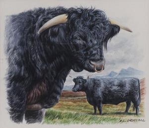 DRISCOLL Barry 1926-2006,Welsh Black Cattle,1984,Jackson's US 2020-09-30