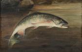 DRISCOLL H.A 1900-2000,Hooked Trout,Brunk Auctions US 2012-09-15