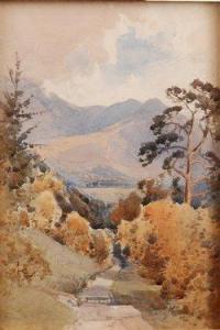 DUCKER Fred,landscape study with a wooded pathway with moun,Fieldings Auctioneers Limited 2009-02-21