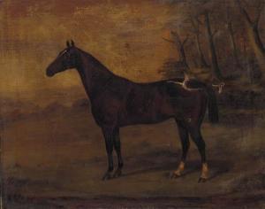 DUDGEON J 1800-1800,A bay hunter in a field,Christie's GB 2001-06-14