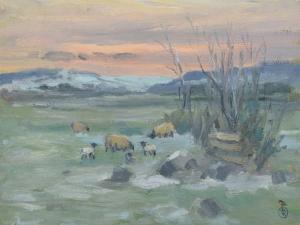 Dudley Bailey Robin 1931,First Lambs, North Wales,Peter Wilson GB 2021-12-09