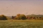 DUDLEY T,Cattle in a meadow with village beyond,Halls GB 2012-11-21