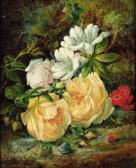 DUFFIELD J 1800-1800,Roses, honeysuckle, primroses, and a shell, on a m,1953,Christie's 1999-11-11