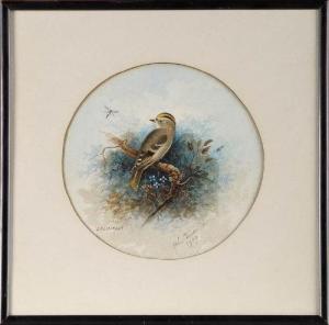DUNCAN John 1900-1900,A GOLDCREST ON A BRANCH OBSERVING AN INSECT,Anderson & Garland GB 2012-12-04