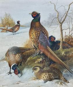 DUNCAN John,Pheasants in a Winter Landscape,20th century,Duggleby Stephenson (of York) 2023-03-10