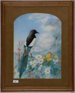 DUNCAN John 1900-1900,Study of a magpie,Anderson & Garland GB 2020-09-04