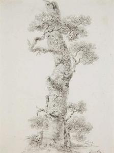 DUNKER Balthasar Anton 1746-1807,Study of a Tree,Lempertz DE 2015-05-16