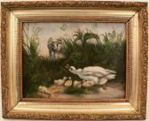 DUNN George,a mother duck with five ducklings and a goat,1882,Locati US 2012-03-12