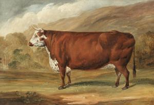 DUNN Joseph 1806-1860,A Hereford Bull,Bonhams GB 2019-01-30
