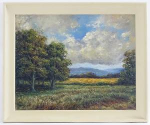 DURAND WHITE HAROLD 1908-1999,An English country landscape,Claydon Auctioneers UK 2021-04-08