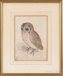 DURER Albrecht 1471-1528,Photographic Reproduction of The Little Owl,Skinner US 2017-06-01