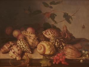 DUTCH SCHOOL (XVII),Sill Life with Shells, Fruit, and Insects,17th century,Grogan & Co. 2018-06-03