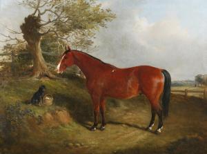 DUVALL John 1816-1892,Horse and Dog in a Landscape,Tooveys Auction GB 2023-09-06