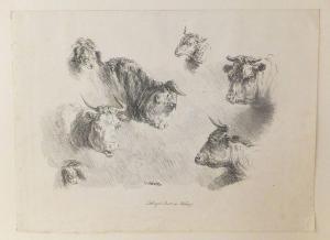 DUVIVIER Ignaz 1758-1832,Têtes d\’animaux,1820,Eric Caudron FR 2020-05-25