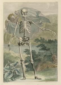 DUVIVIER PIERRE CHARLES 1716-1788,Skelett vor einer Landschaft stehend,Galerie Bassenge 2018-05-31