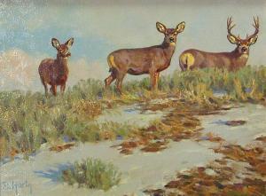 DWAYNE Harty 1957,Crest top mule deer,Bonhams GB 2010-11-21