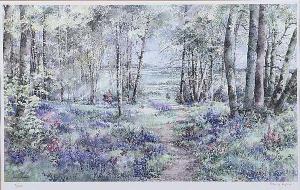 DYSON Nancy,BLUEBELLS IN THE WOODS,Ross's Auctioneers and values IE 2017-11-08
