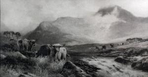 EARL GRAHAM Douglas 1879-1954,Highland cattle,1924,Canterbury Auction GB 2012-04-03