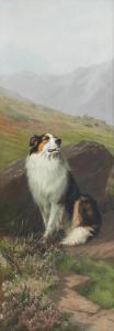 EARL Maud 1864-1943,A Rough Collie in a Landscape,Bonhams GB 2023-11-08