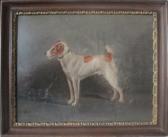 EARLE G 1800-1800,portrait of a terrier,Freeman US 2013-02-13