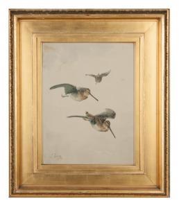EARLE Lawrence Carmichael 1845-1921,Birds,1889,Cottone US 2017-12-07