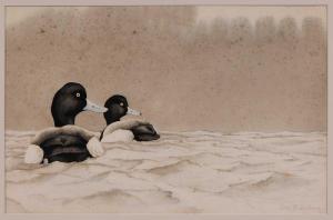 ECKELBERRY Richard 1921-2001,Pair Greater Scaup Ducks,Brunk Auctions US 2011-07-16