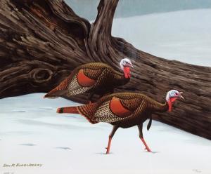 ECKELBERRY Richard 1921-2001,Wild turkey,,1975,Dargate Auction Gallery US 2007-07-20