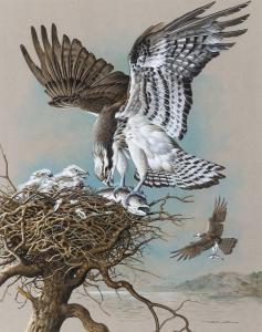 EDE Basil 1931-2016,Ospreys,1965,William Doyle US 2023-09-12