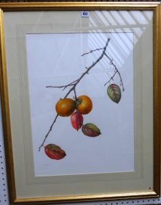 EDEN M.A,Still life of branch with fruits and leaves,1995,Bellmans Fine Art Auctioneers 2014-03-26
