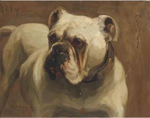 EDMUNDS K.G 1900-1900,Monty, a bulldog,Christie's GB 2004-11-18