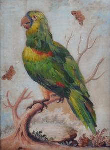 EDWARDS George 1694-1773,A Parrot in a landscape,1742,Dreweatts GB 2015-04-14