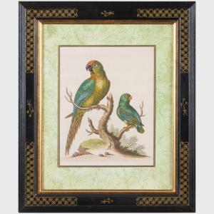 EDWARDS George 1694-1773,Natural History of Birds: Twelve Plates,Stair Galleries US 2023-03-09