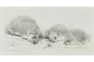 EDWARDS John 1768-1795,Hedgehog and Young,Tooveys Auction GB 2015-12-07
