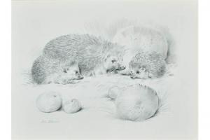 EDWARDS John 1768-1795,Hedgehog and Young,Tooveys Auction GB 2015-12-07