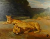 EDWARDS John 1914,Lion and lioness drinking from a waterhole,Eastbourne GB 2015-09-10