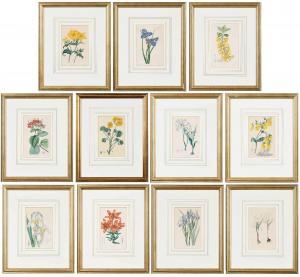 EDWARDS Sydenham Teast,Flowers, in yellow, blue, white, yellow, James Rid,Brunk Auctions 2022-02-04