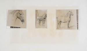 EERELMAN Otto 1839-1926,Studies with horses,Glerum NL 2009-12-14